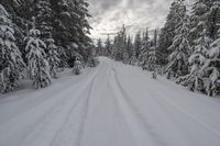 there is a man walking down a snow covered trail in the woods with skis