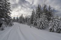 there is a man walking down a snow covered trail in the woods with skis