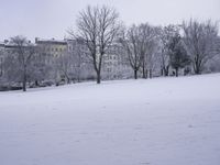 a man is walking through the snow in a large open field with lots of trees