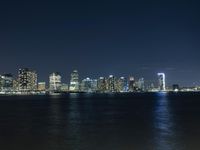 a night time view of the city skyline of new york, ny from lower manhattan