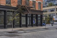 a street corner with black glass doors and a tree in the foreground and buildings