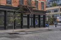 a street corner with black glass doors and a tree in the foreground and buildings