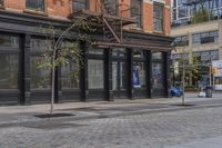 a street corner with black glass doors and a tree in the foreground and buildings