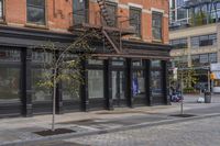 a street corner with black glass doors and a tree in the foreground and buildings