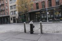 a sidewalk that has some stone pavement on it with two poles next to a black fire hydrant