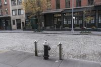 a sidewalk that has some stone pavement on it with two poles next to a black fire hydrant