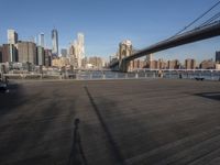 Manhattan Skyline: Night View of the City