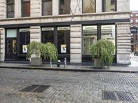 two tall trees in containers on a city street next to an office building with the words chanel