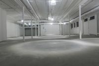Manhattan Warehouse: Architecture and Interior