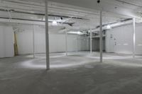 Manhattan Warehouse: Architecture and Interior