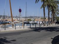 a marina with boats and palm trees are parked near the water and road signs hang on poles