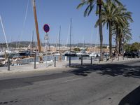 a marina with boats and palm trees are parked near the water and road signs hang on poles