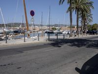 a marina with boats and palm trees are parked near the water and road signs hang on poles