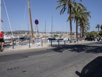 a marina with boats and palm trees are parked near the water and road signs hang on poles