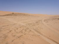 the sand is brown and barren for a large group of people to walk across it