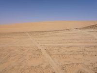 the sand is brown and barren for a large group of people to walk across it