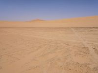the sand is brown and barren for a large group of people to walk across it
