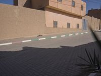 a dog laying on the sidewalk in front of a house with a palm tree near it