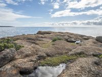 a rock shoreline with plants growing on it and water pool next to it with rocks in the foreground