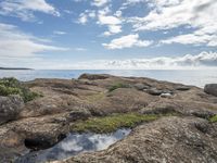 a rock shoreline with plants growing on it and water pool next to it with rocks in the foreground