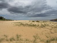 a beach with grass, sand and water under grey skies with dark clouds overhead by some trees