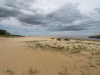 a beach with grass, sand and water under grey skies with dark clouds overhead by some trees