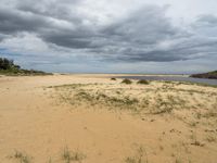 a beach with grass, sand and water under grey skies with dark clouds overhead by some trees