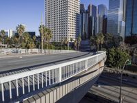 Metropolis Cityscape with Highrise Buildings 002