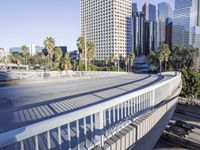 Metropolis Cityscape With Highrise Buildings