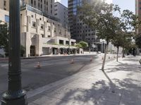 Metropolitan Area: Architecture and Buildings in the Sunshine