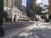 Metropolitan Area: Architecture and Buildings in the Sunshine