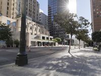 Metropolitan Area: Architecture and Buildings in the Sunshine