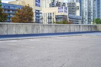 Metropolitan Area Panorama: A City View