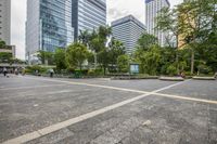 Metropolitan Area: A Residential Neighborhood