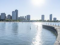 Metropolitan Chicago Cityscape Skyscrapers