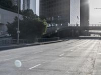 Metropolitan Cityscape: Urban Architecture in the Sunshine
