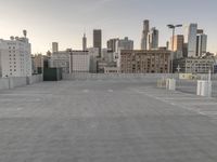 Metropolitan Skyline at Dawn: A Panoramic View