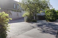 an empty sidewalk has been turned into this garden area for an apartment complex in mexico