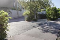 an empty sidewalk has been turned into this garden area for an apartment complex in mexico