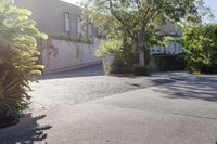 an empty sidewalk has been turned into this garden area for an apartment complex in mexico