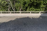 Mexico Landscape: Rural Road Surrounded by Vegetation