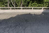 Mexico Landscape: Rural Road Surrounded by Vegetation