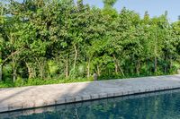 a large pool surrounded by greenery and trees with some grass on the bottom of it