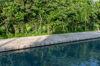 a large pool surrounded by greenery and trees with some grass on the bottom of it