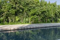 a large pool surrounded by greenery and trees with some grass on the bottom of it