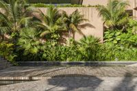 a man holding a surfboard standing on a paved driveway next to a building and trees