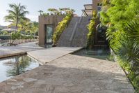 Mexico Resort with Swimming Pool and Palm Trees