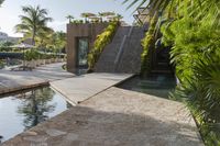 Mexico Resort with Swimming Pool and Palm Trees