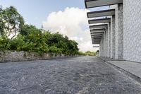 the walkway in this building has black and white stones on it's side and is made to look like a cobble stone pavement