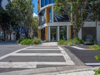 the empty cross walk way between two large buildings in the city park area of an intersection with trees, bushes, and a fire hydrant